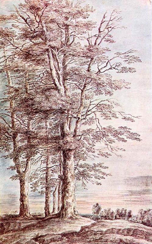 UDEN, Lucas van Landscape with Tall Trees dg Norge oil painting art